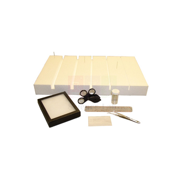 Insect Lab Kit